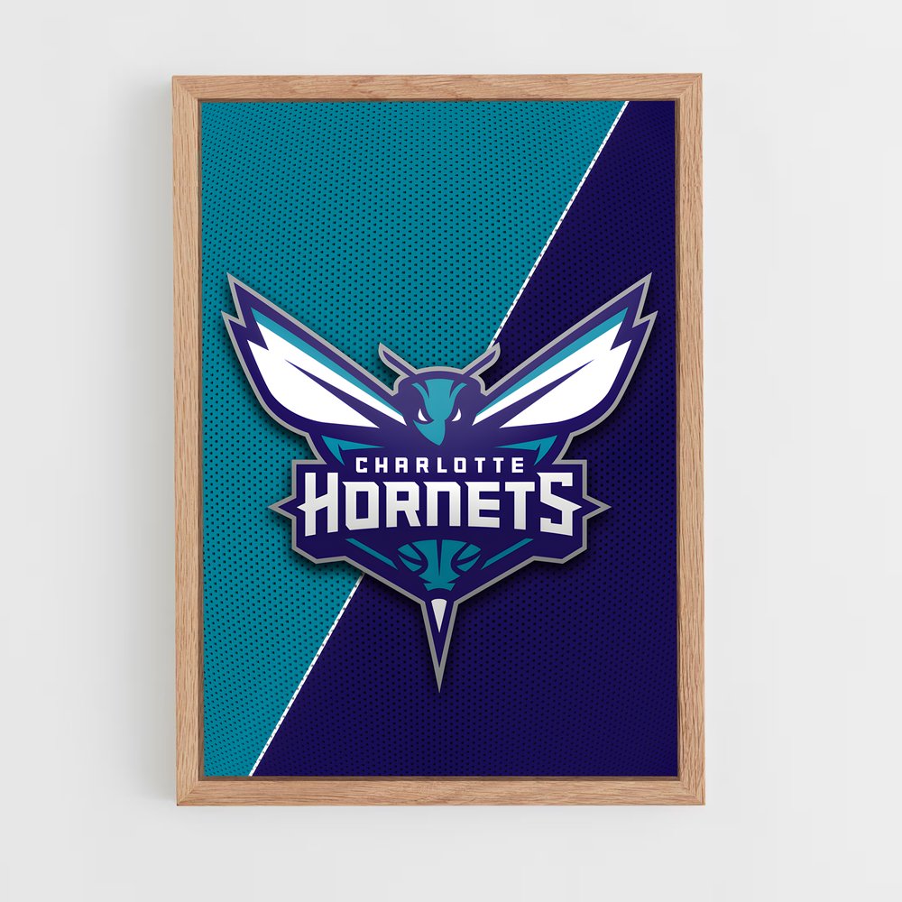 Poster Duel des Hornets – affiche Basketball (vue 4)